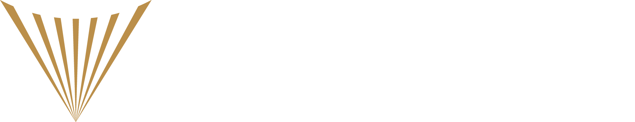 Vouchlux Logo